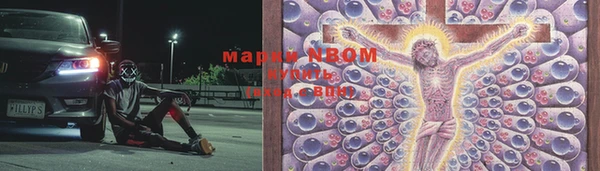 гидропоника Пересвет