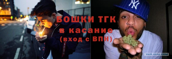 молекула духа Алзамай