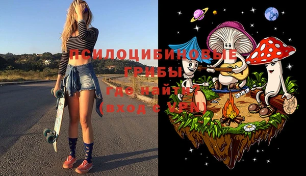 молекула духа Алзамай