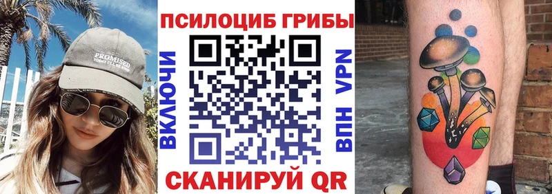 Галлюциногенные грибы мицелий  Оленегорск 